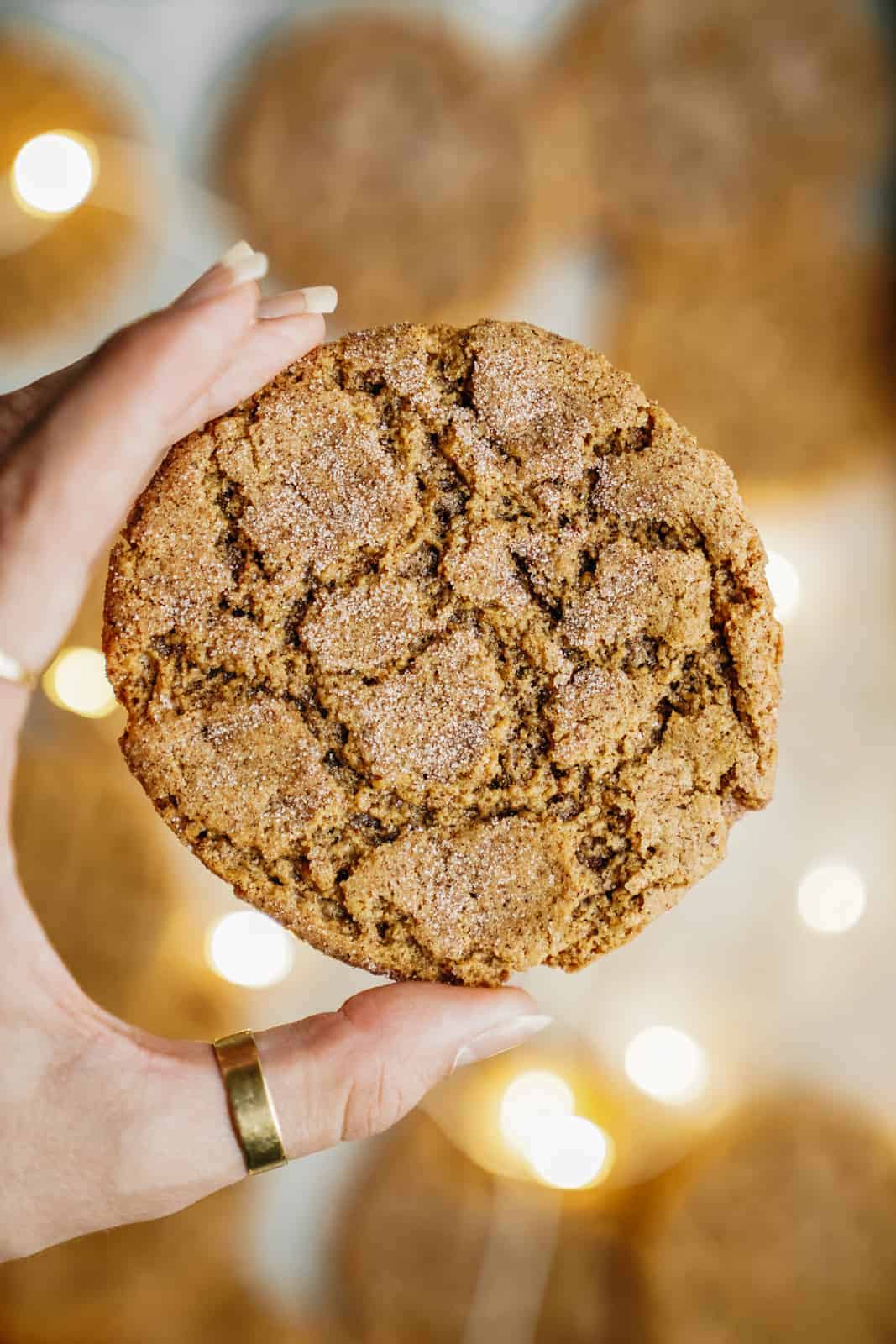 Hand holding a cookie made with sunflower butter.