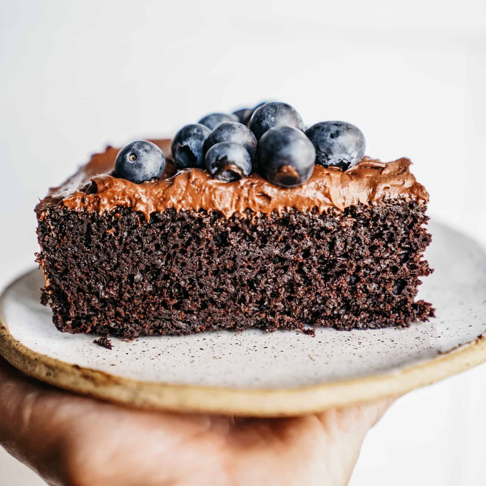 Chocolate cake on white serving plate up close taken from a side angle.