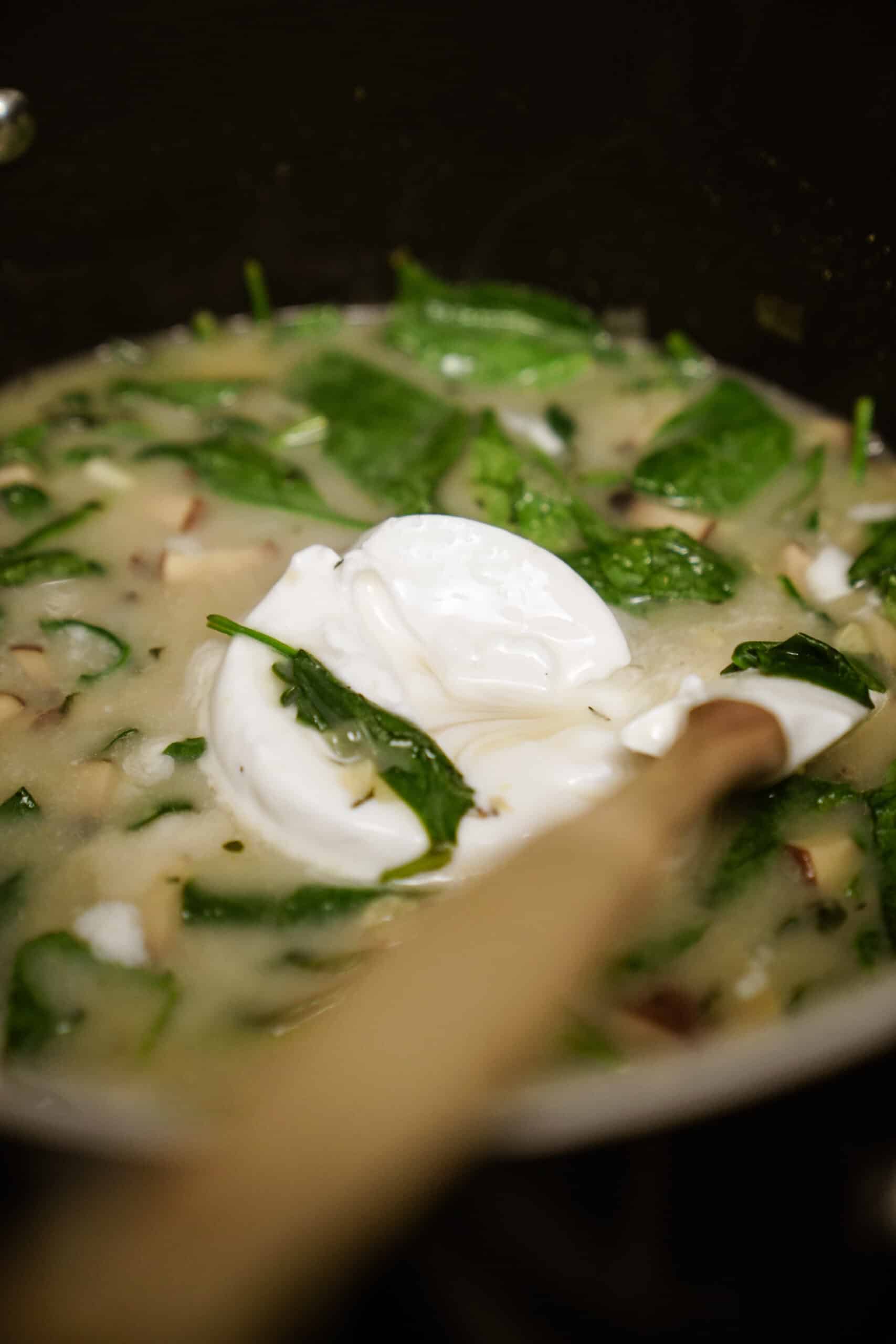 Ingredients for creamy noodle soup added into a pot