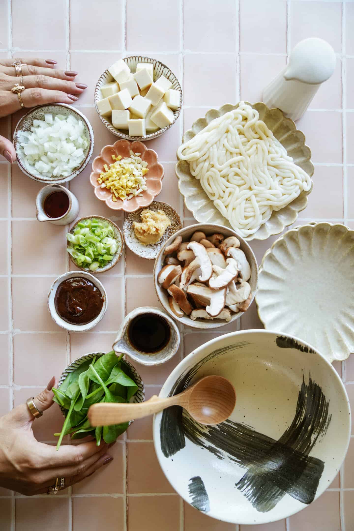 Udon Noodle Soup