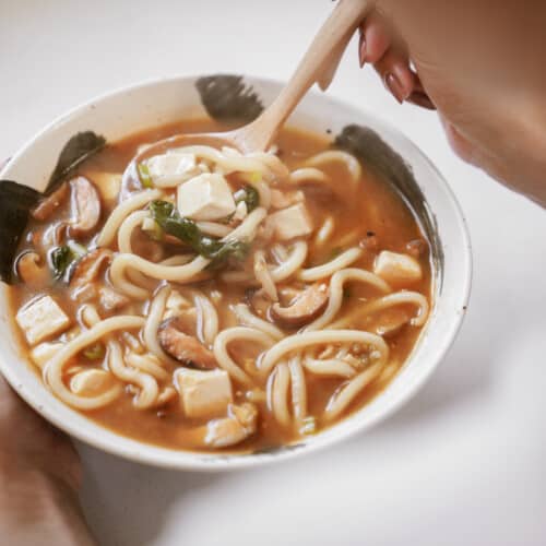 udon noodle soup