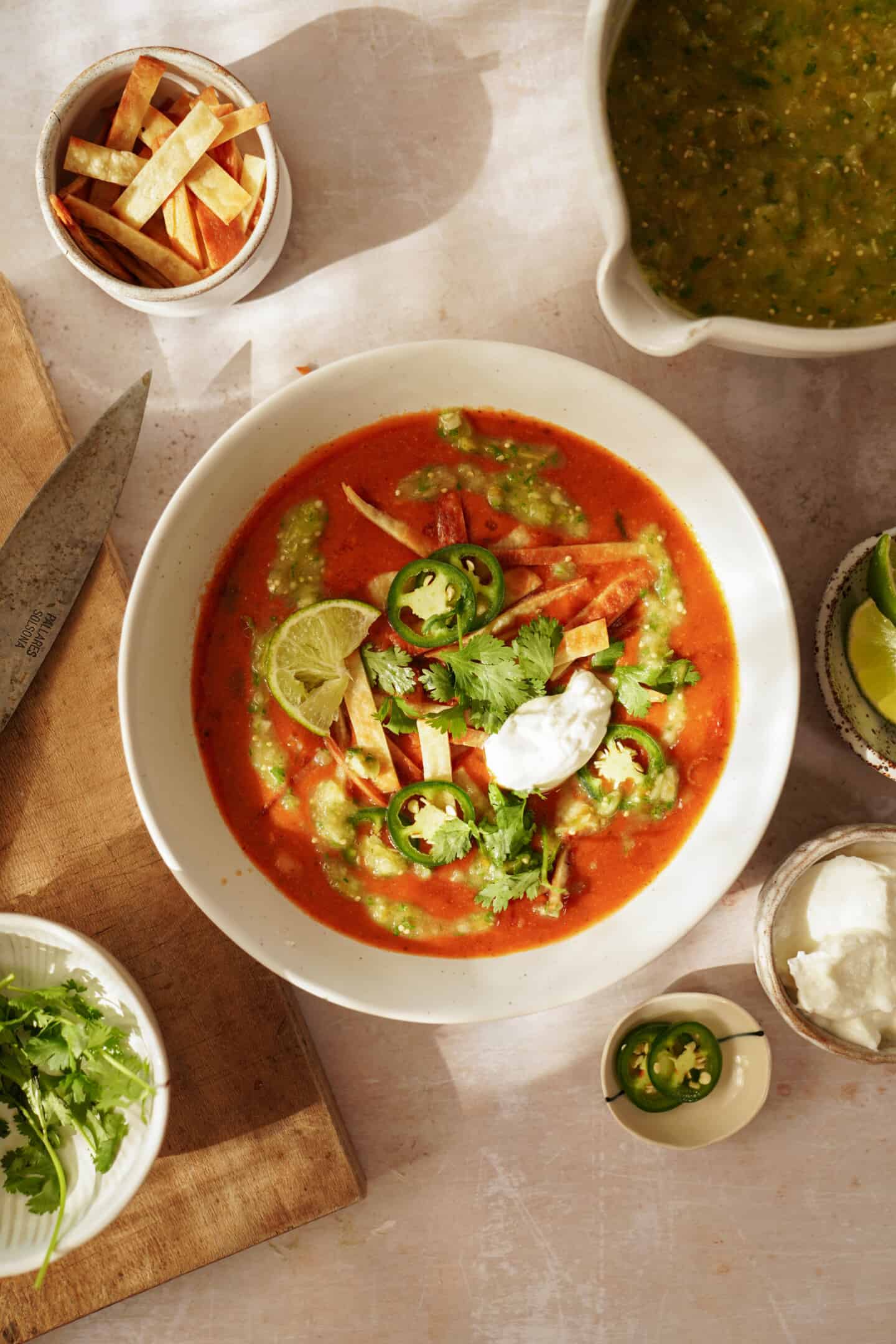 Big bowl of tortilla soup