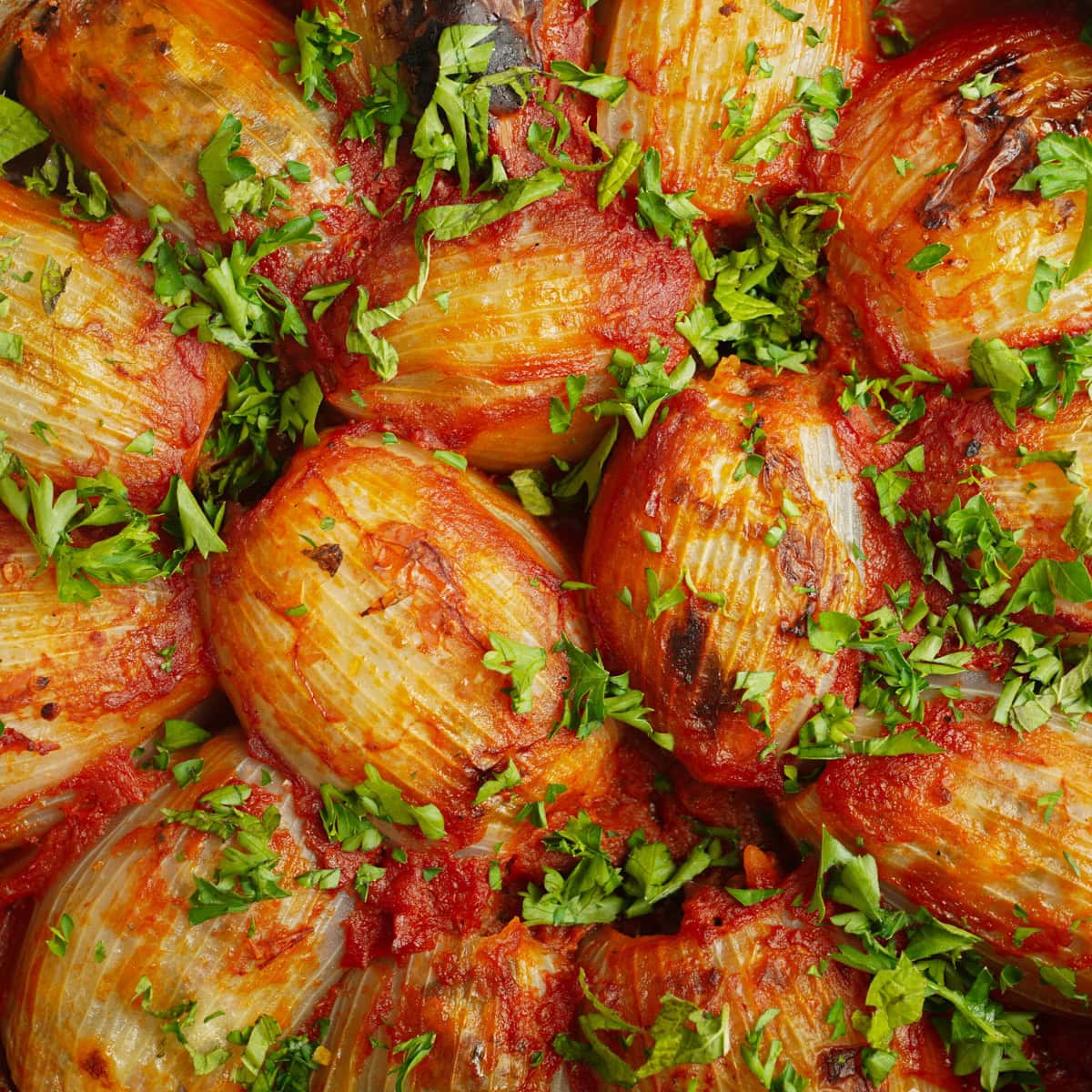 Stuffed onions close-up